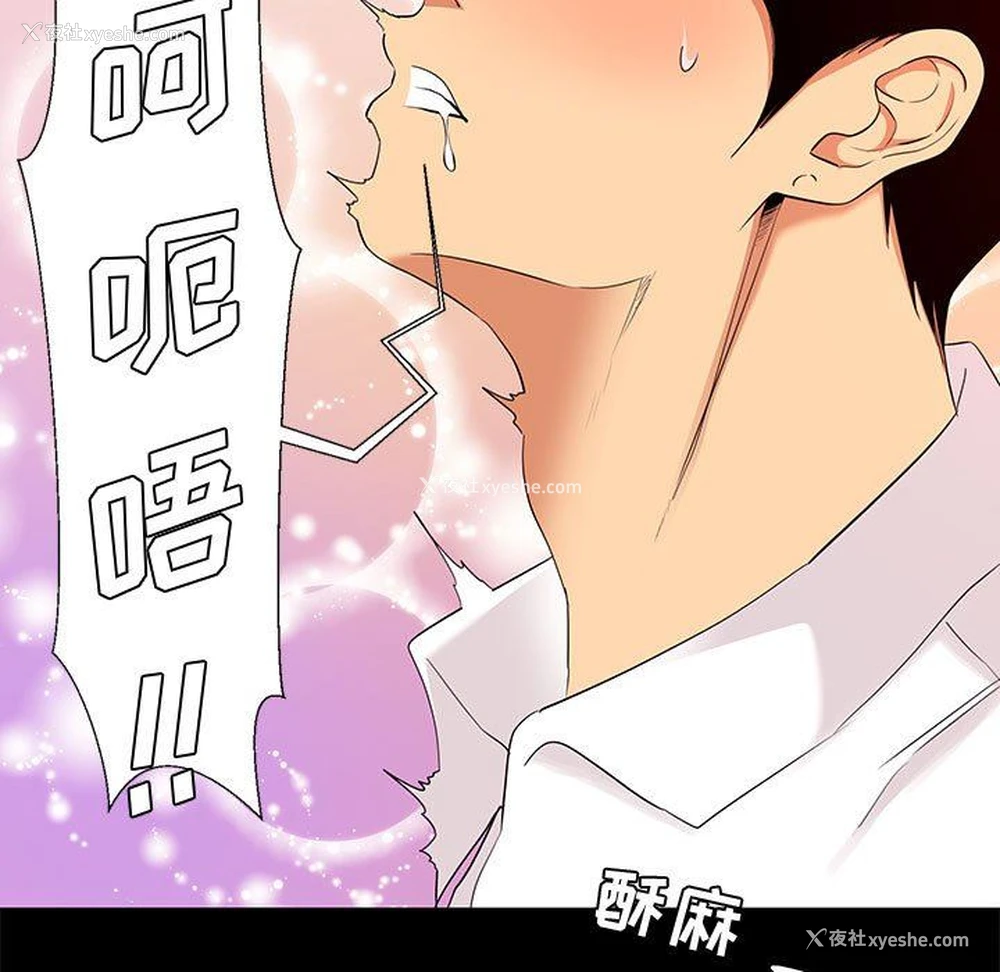 13P - OL蜜巢