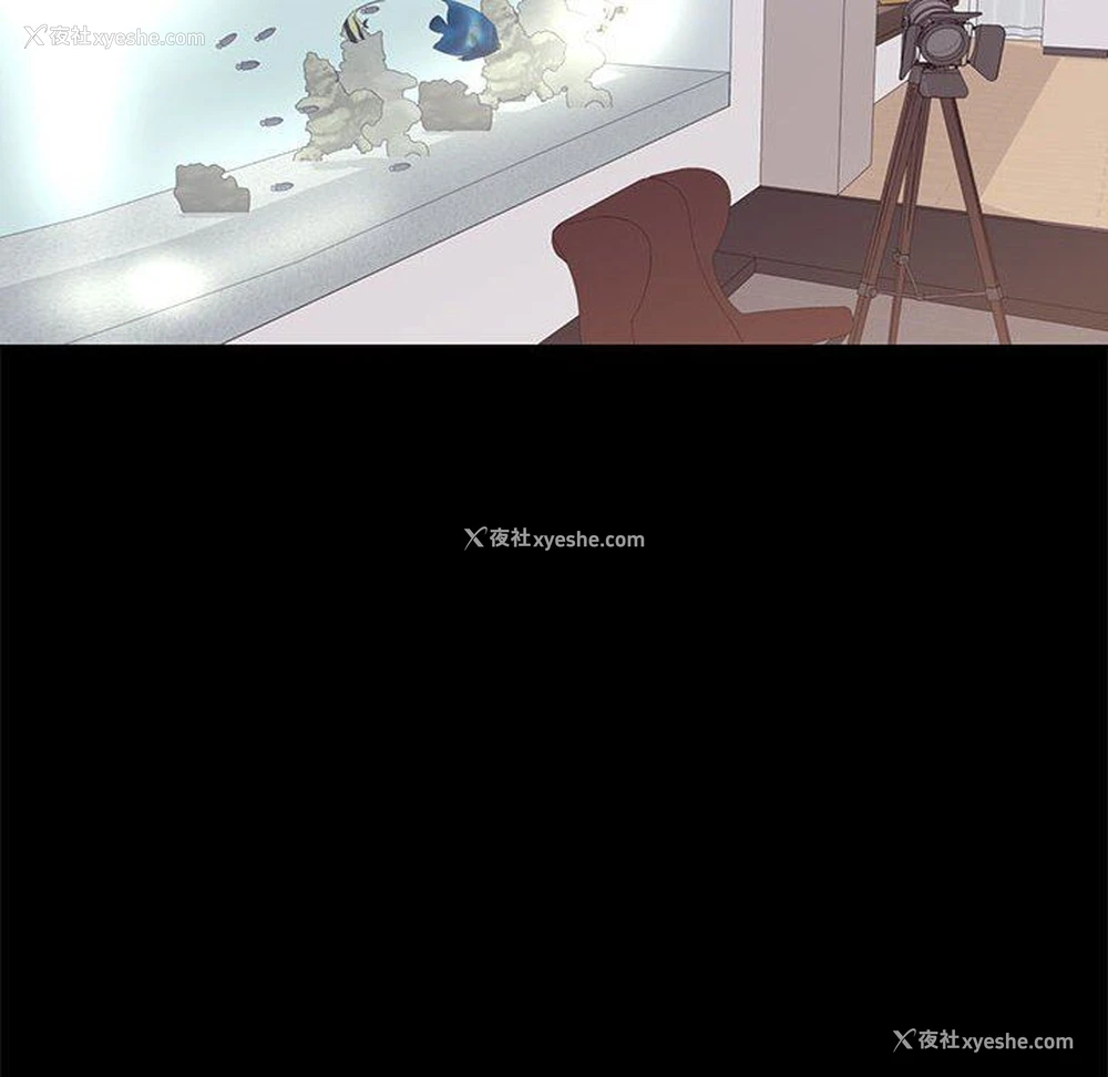 76P - OL蜜巢