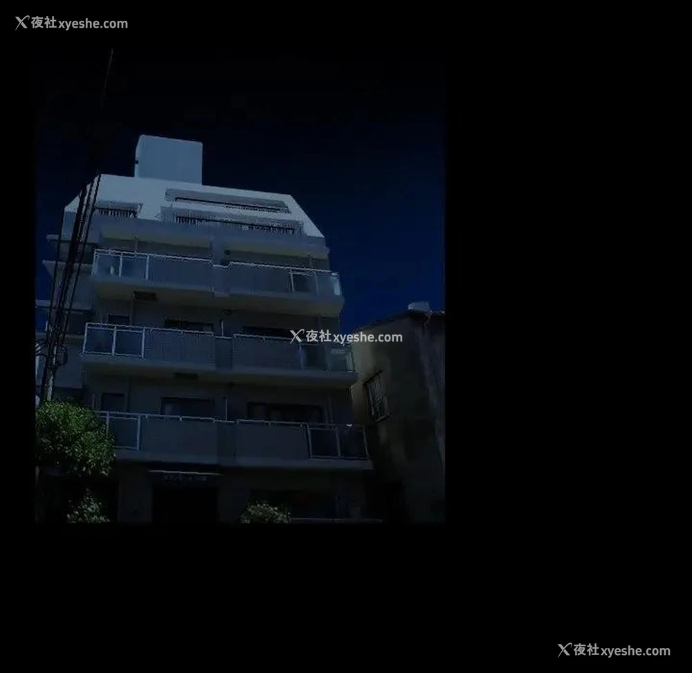 82P - 命中注定爱上你
