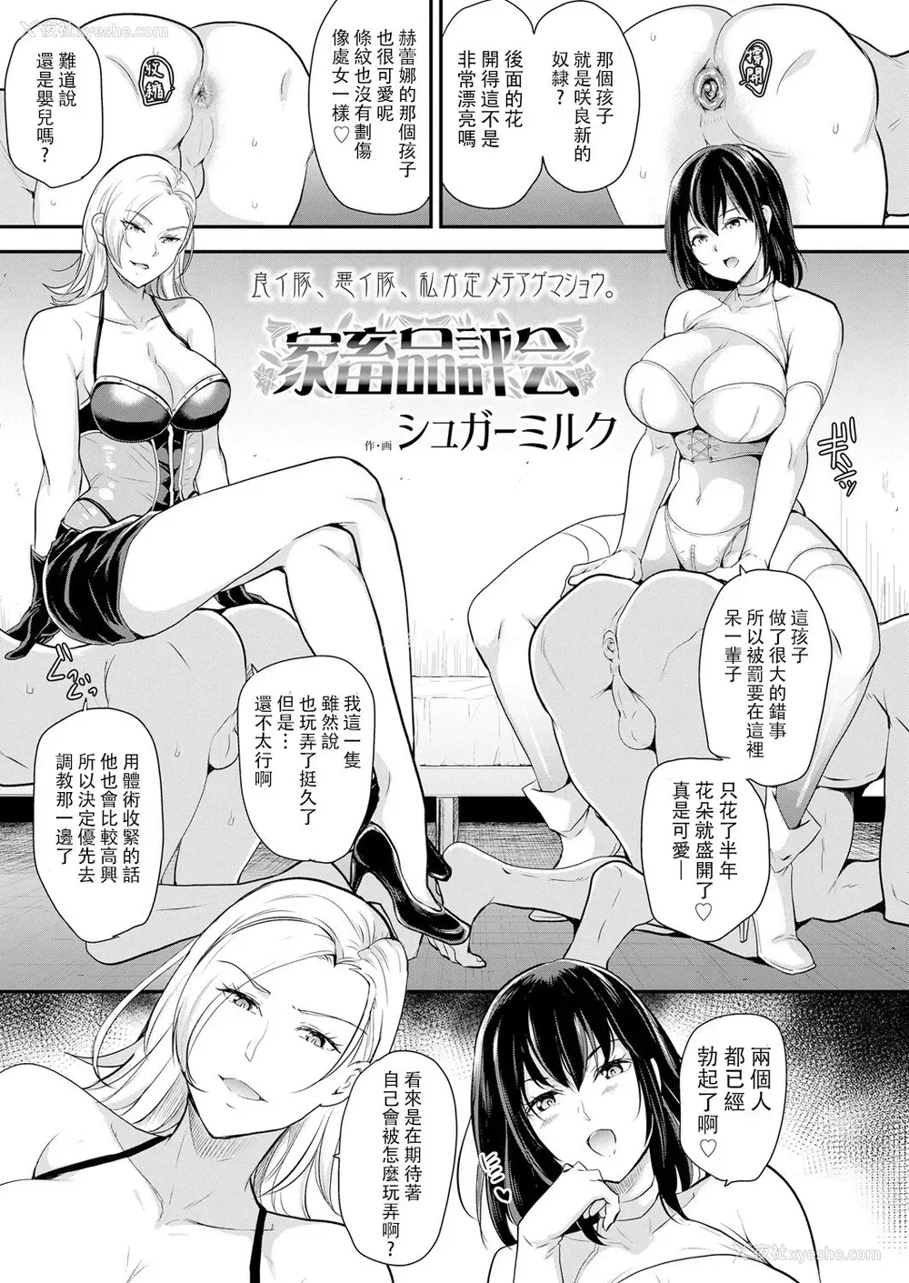 2P - [シュガーミルク] 家畜品评会 (ガールズフォーム Vol.18) [中国翻訳] [DL版]