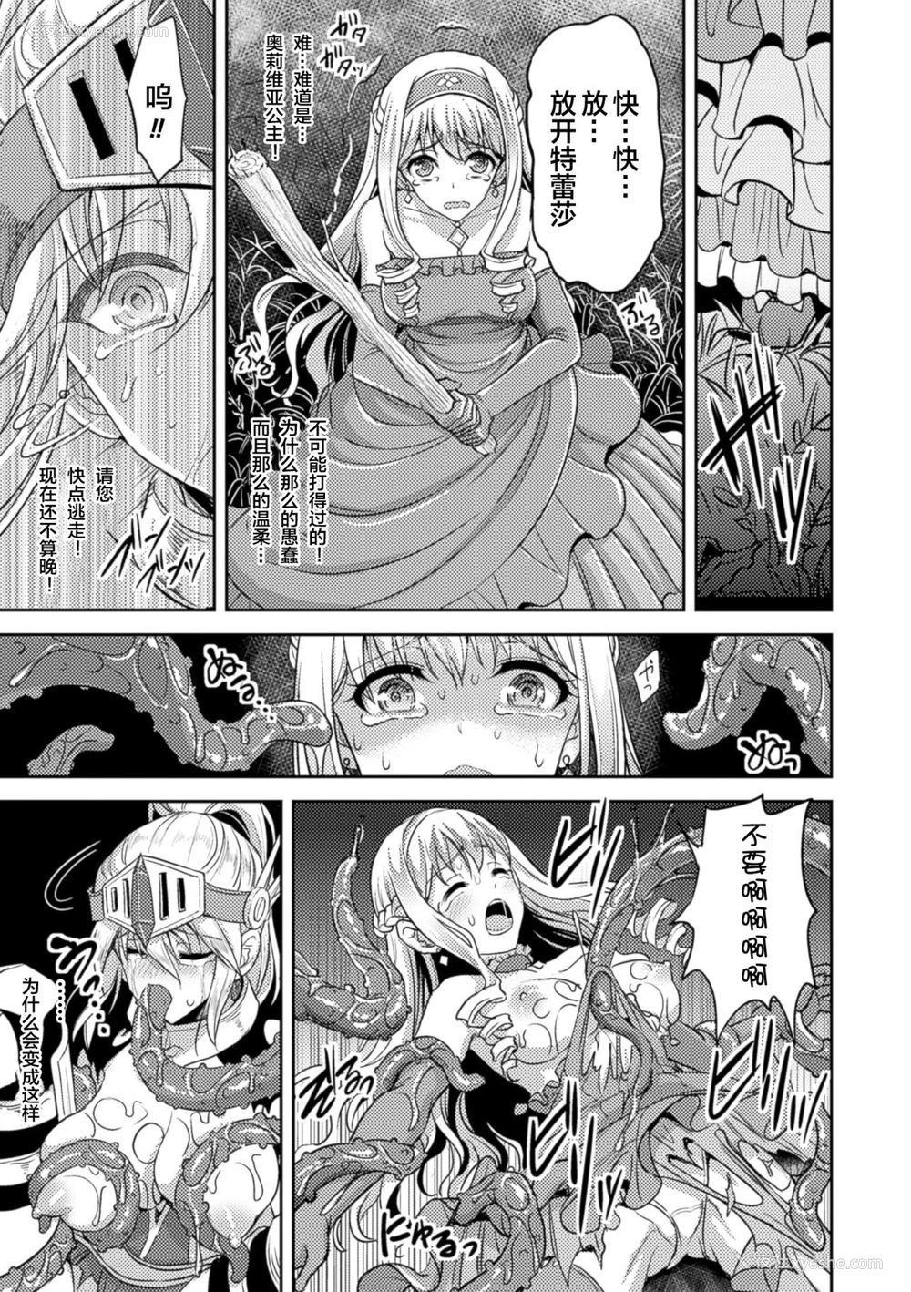 14P - [孙阳州] 姫骑双贯 (二次元コミックマガジン 触手贯通に身闷えるヒロインたち Vol.2) [中国翻訳] [DL版]