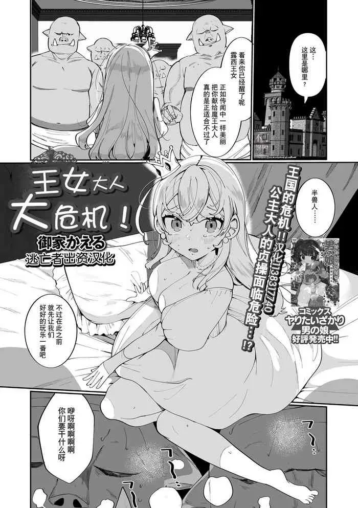 [御家かえる] 王女さま大ピンチ! (异世界娘との交接) [中国翻訳] [DL版]