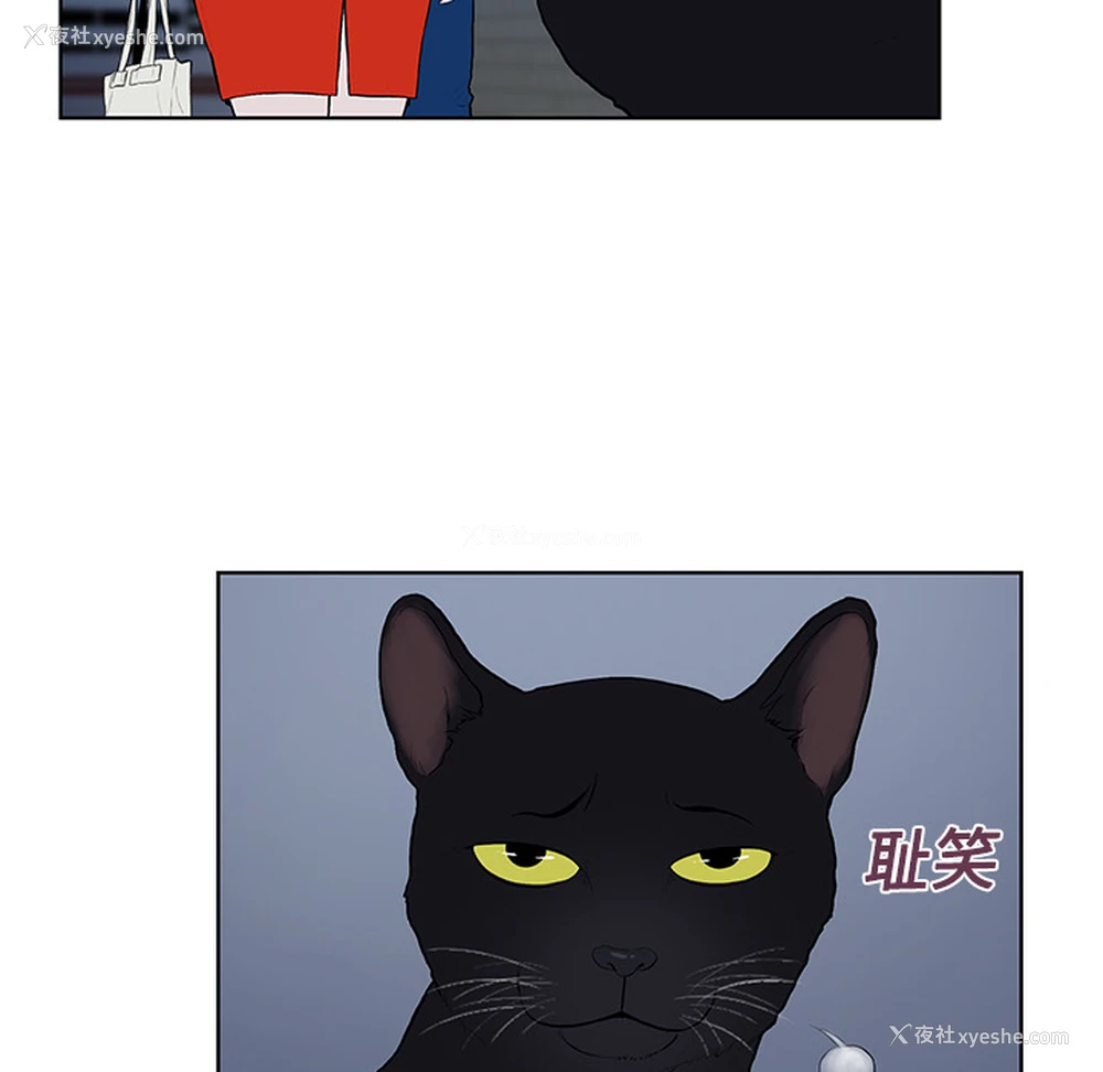 49P - 被女神环绕的男人