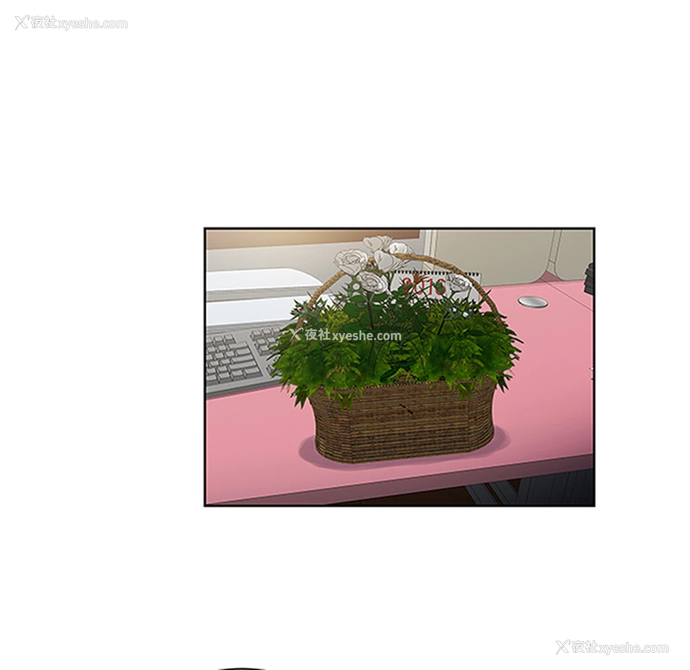 12P - 被女神环绕的男人