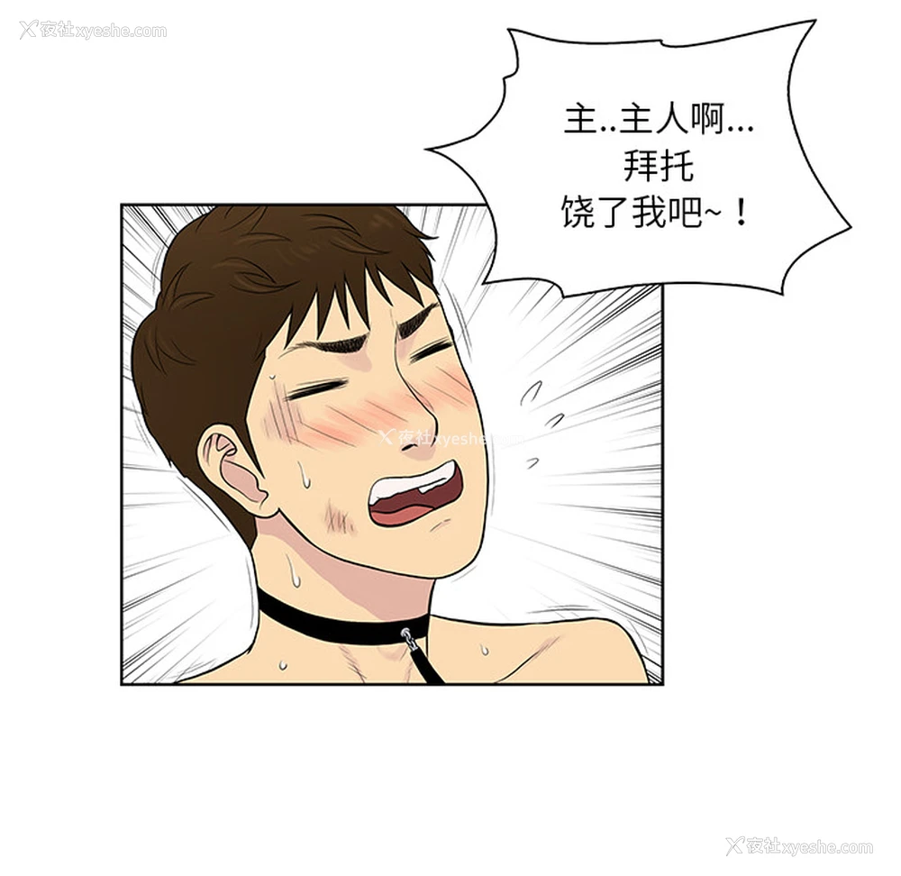 49P - 被女神环绕的男人
