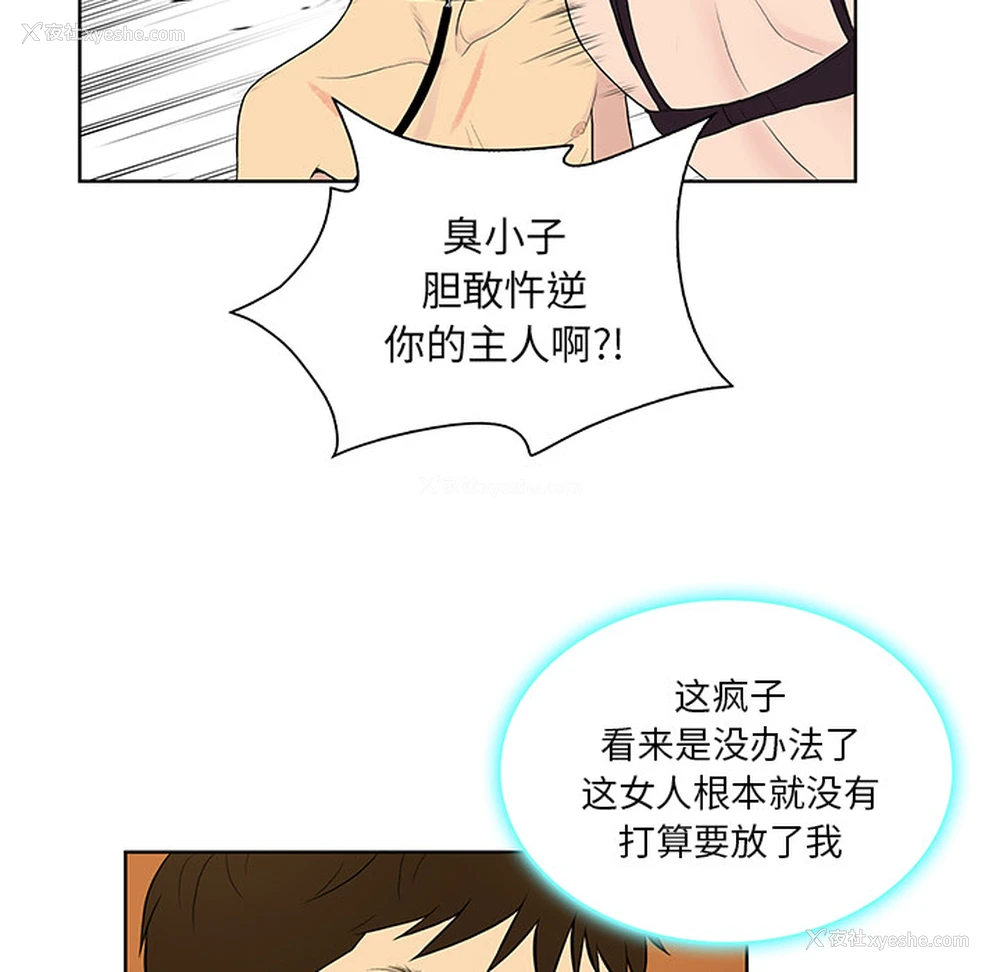 55P - 被女神环绕的男人