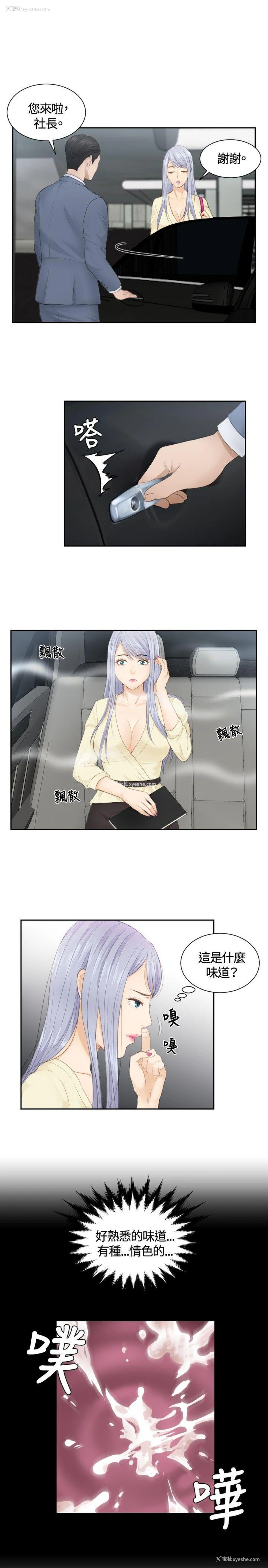 15P - 本能解决师