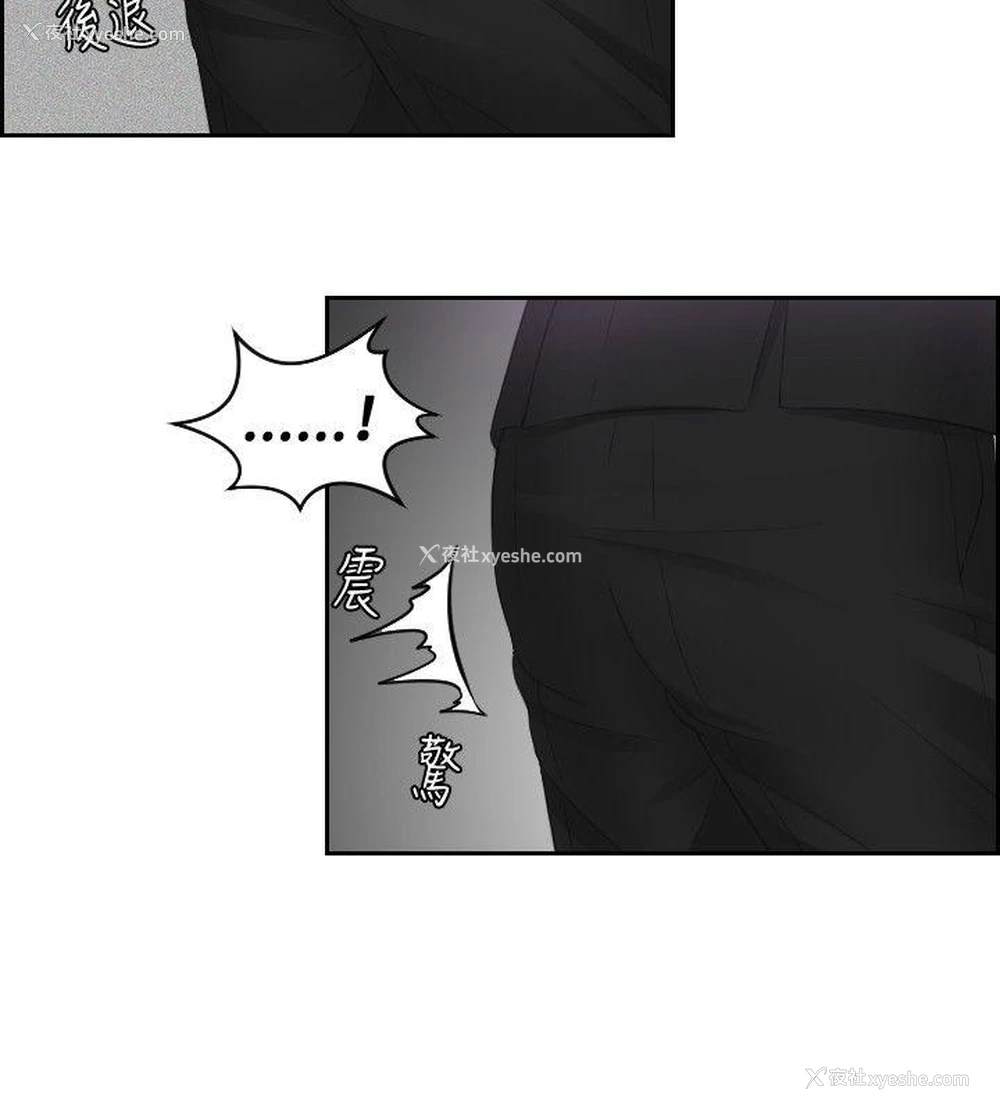 22P - 本能解决师