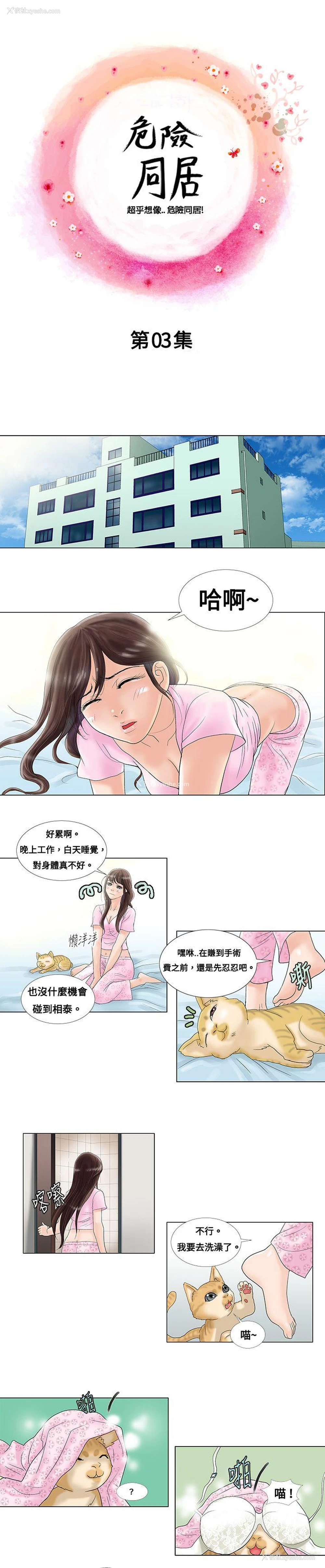 1P - 危险同居