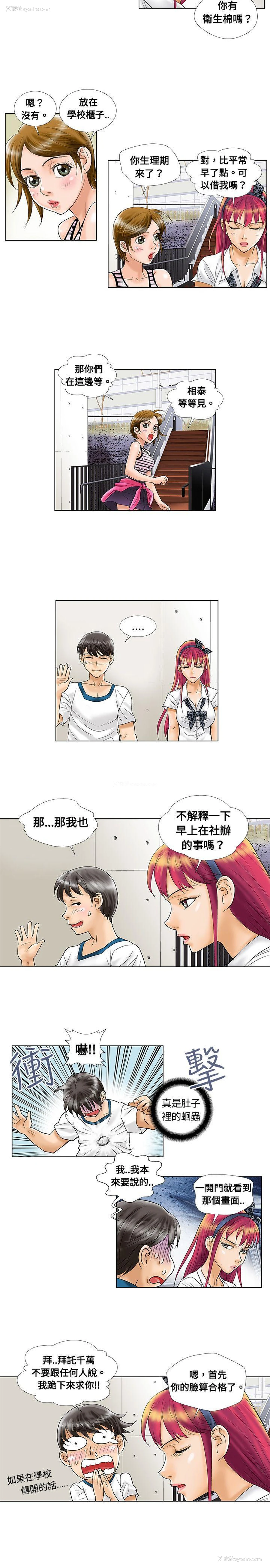 4P - 危险同居