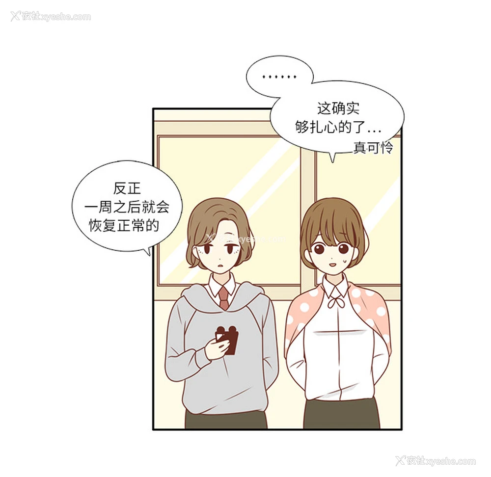 16P - 各自的春天