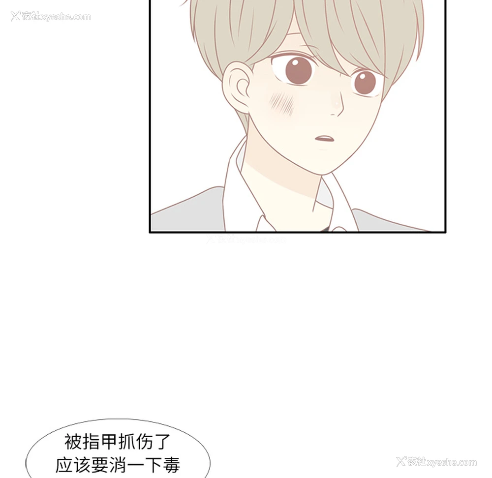53P - 各自的春天