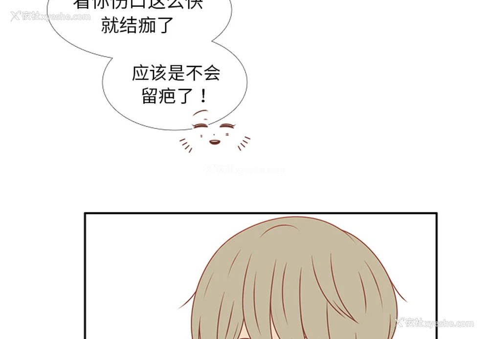 3P - 各自的春天