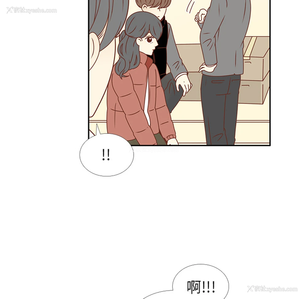 16P - 各自的春天