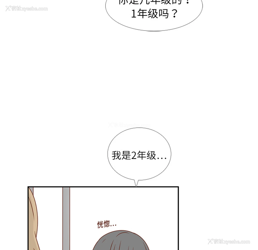 19P - 各自的春天