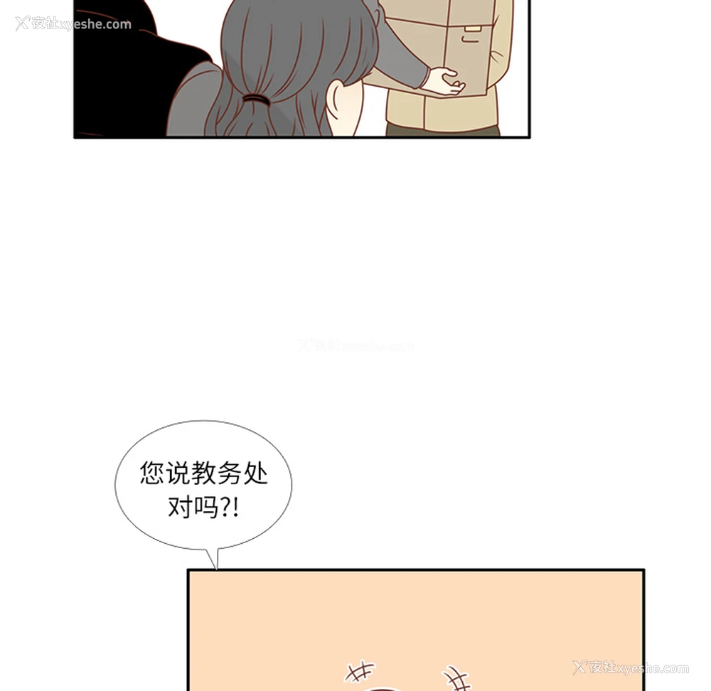 23P - 各自的春天