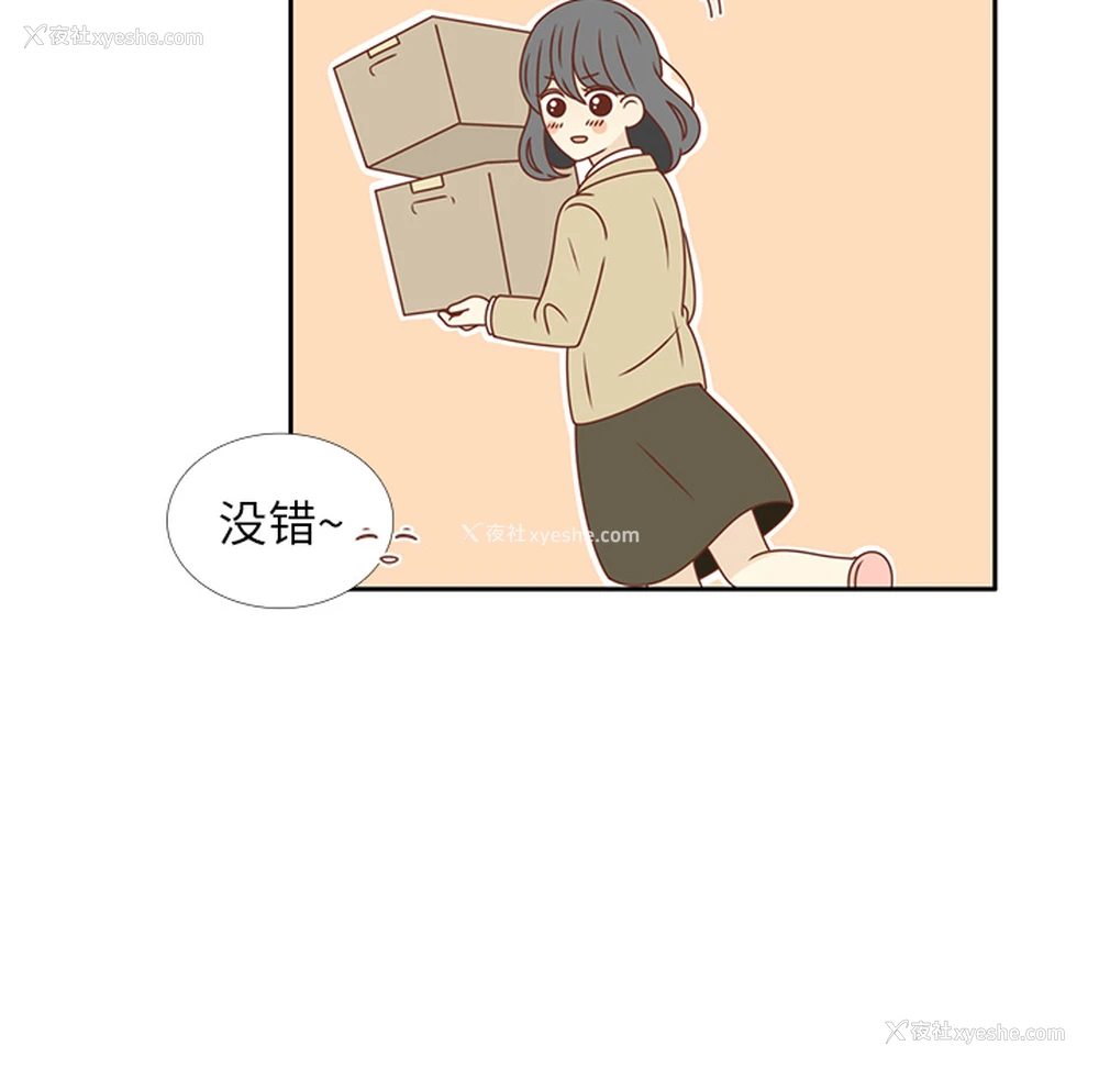 24P - 各自的春天