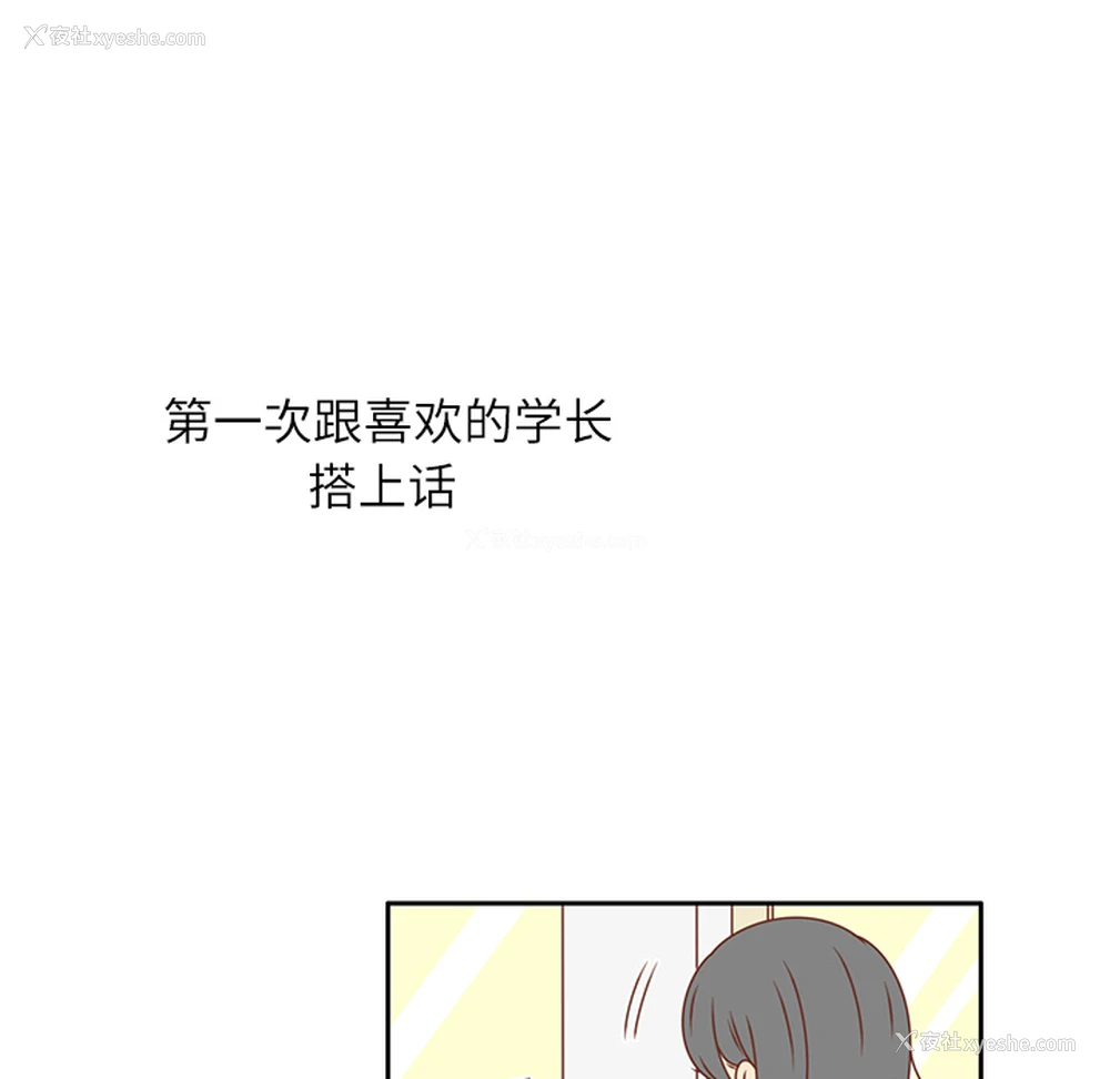 28P - 各自的春天