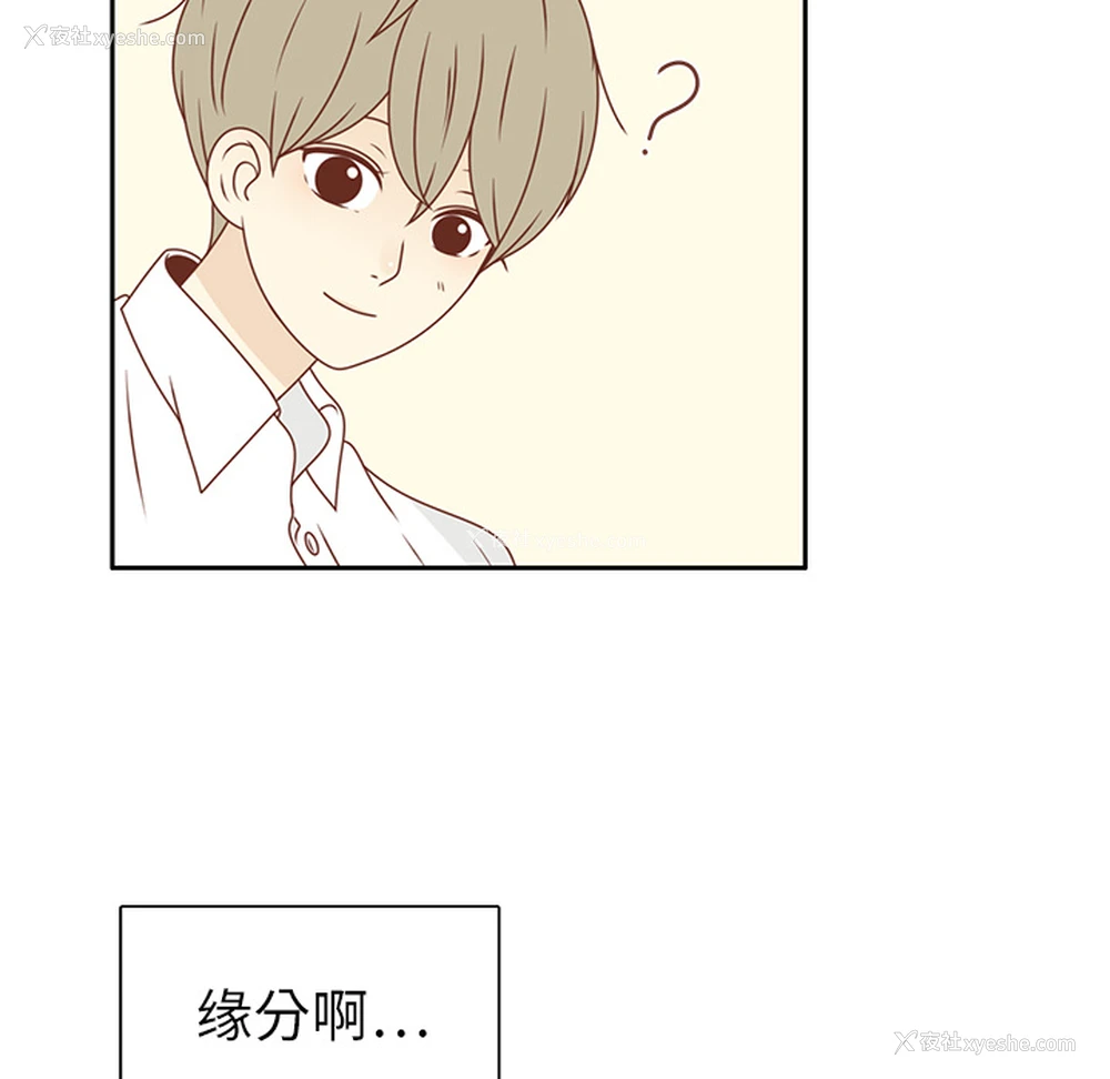 33P - 各自的春天