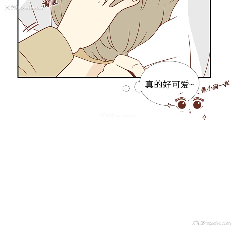 60P - 各自的春天