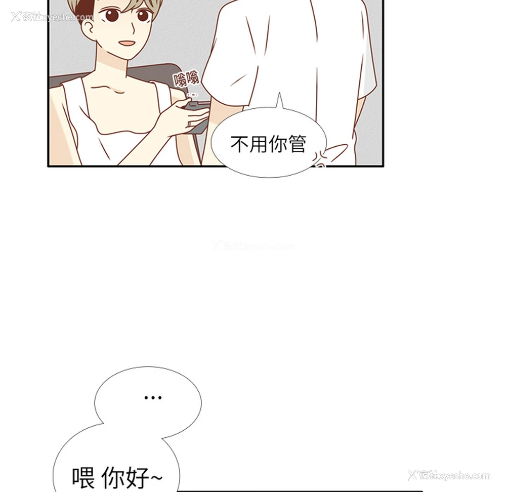 33P - 各自的春天