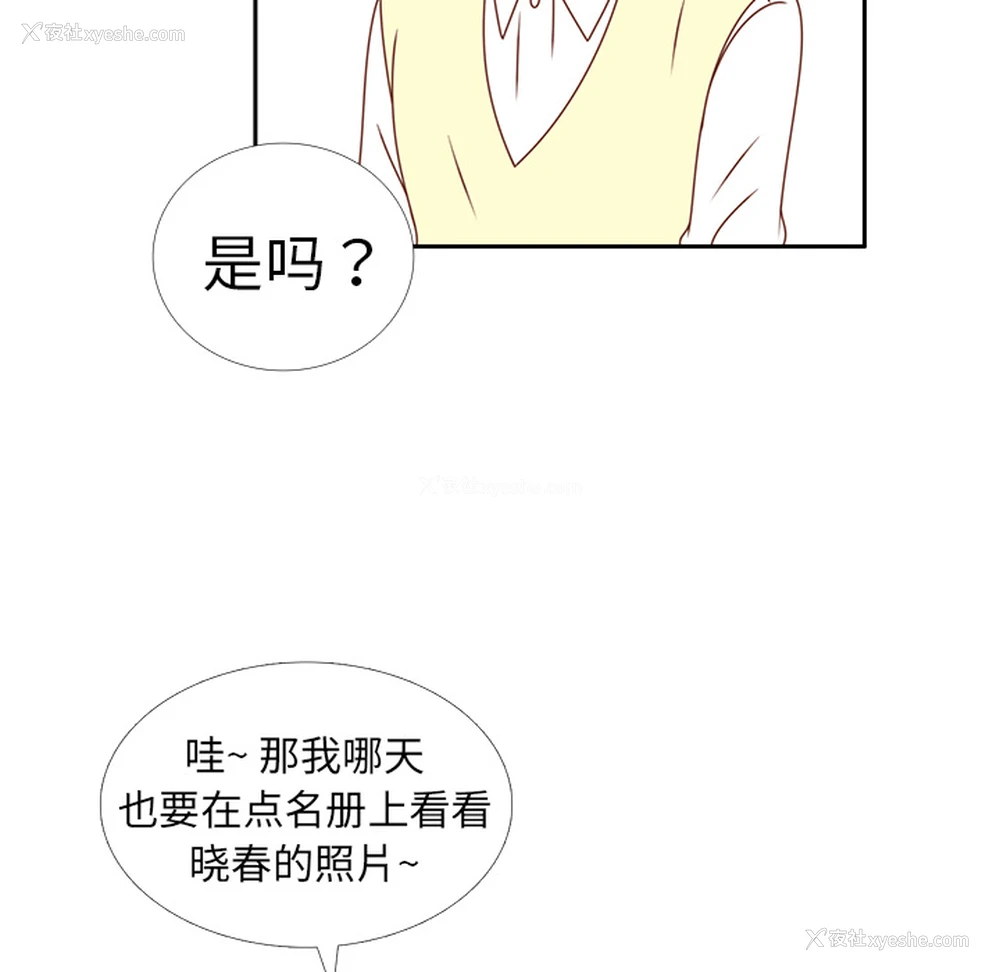 33P - 各自的春天