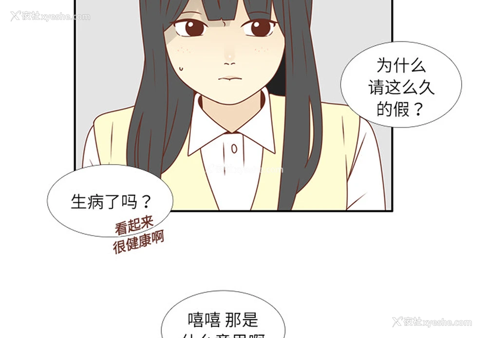 4P - 各自的春天