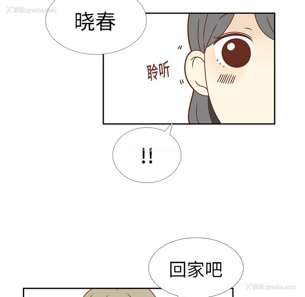28P - 各自的春天