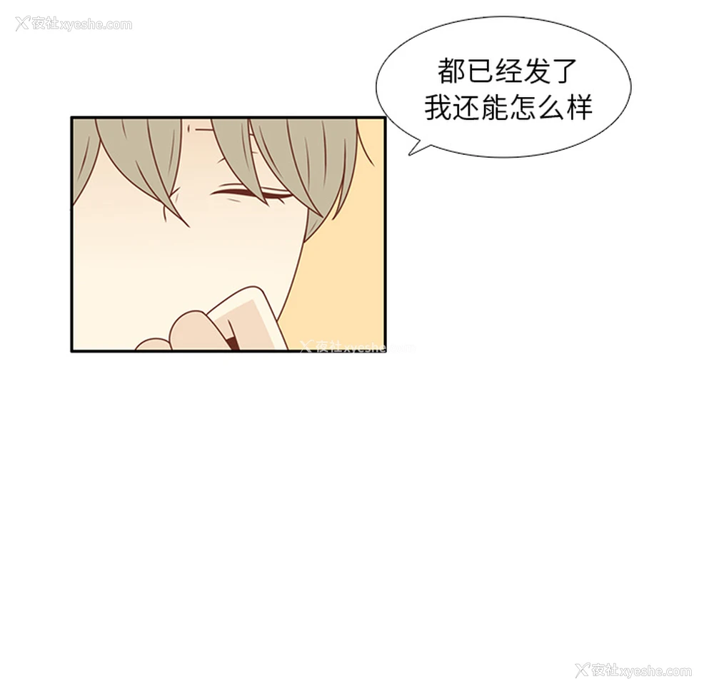 19P - 各自的春天