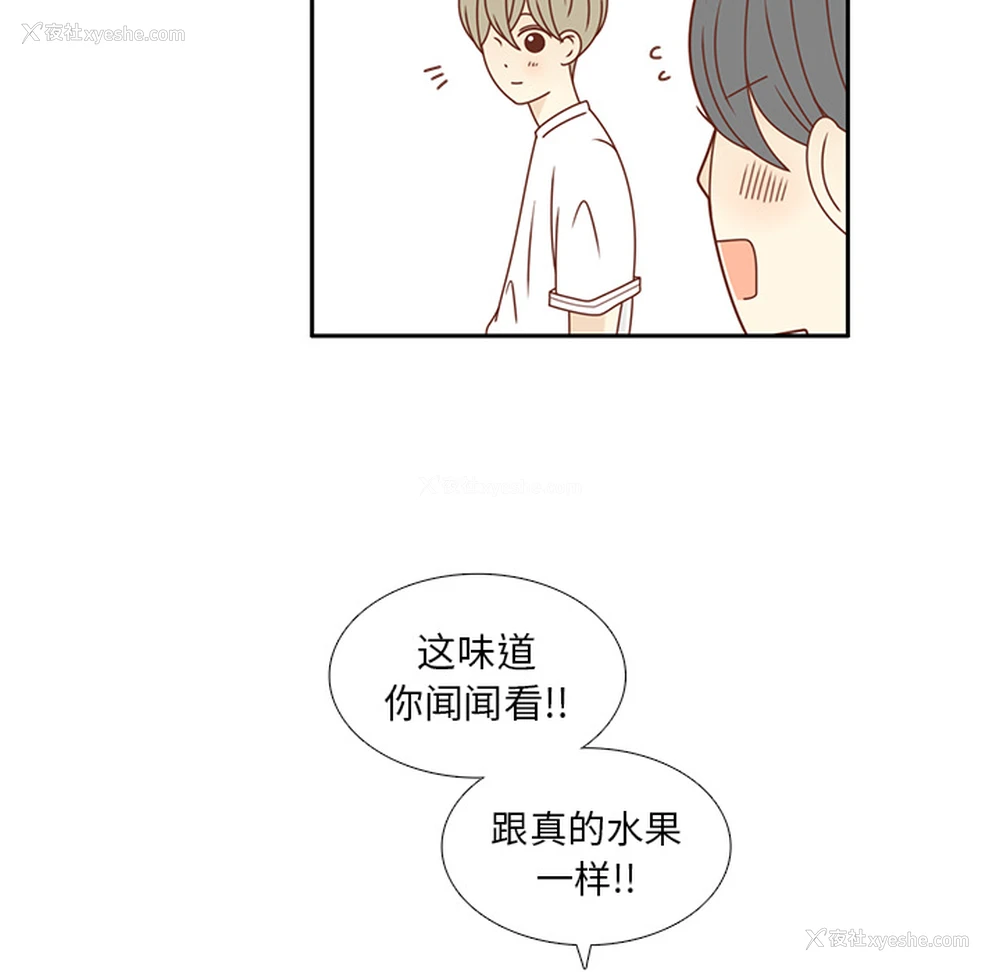 82P - 各自的春天