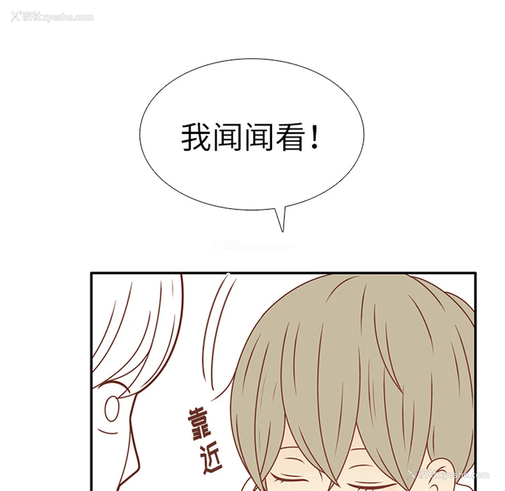 84P - 各自的春天