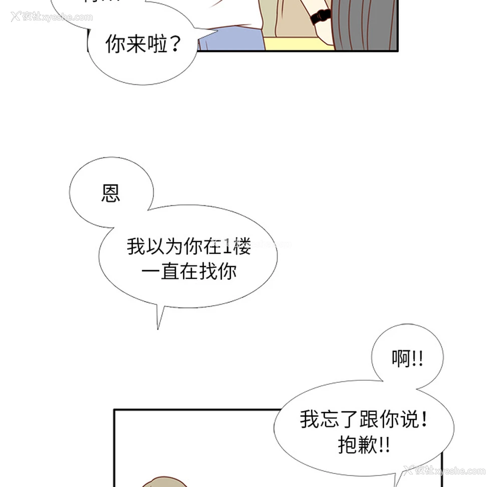 33P - 各自的春天
