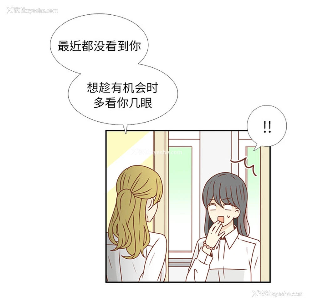 19P - 各自的春天