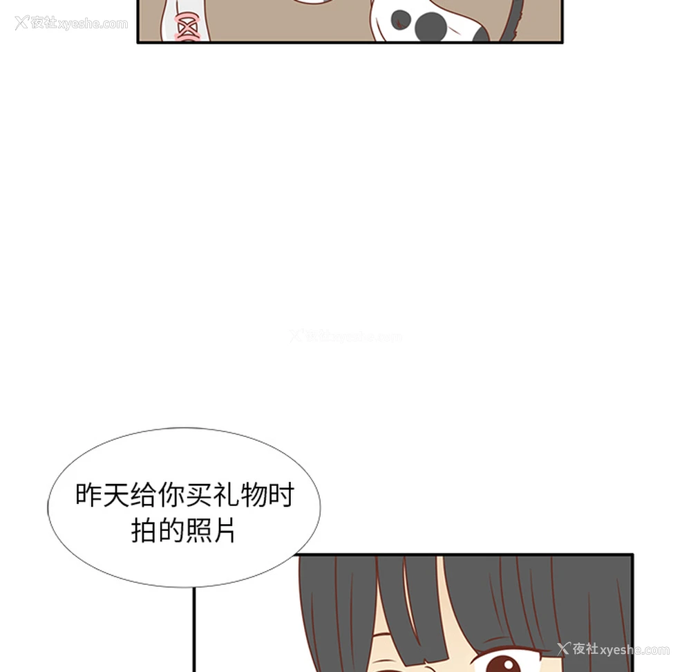 88P - 各自的春天