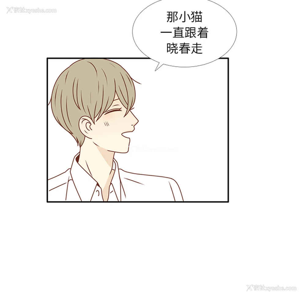 90P - 各自的春天