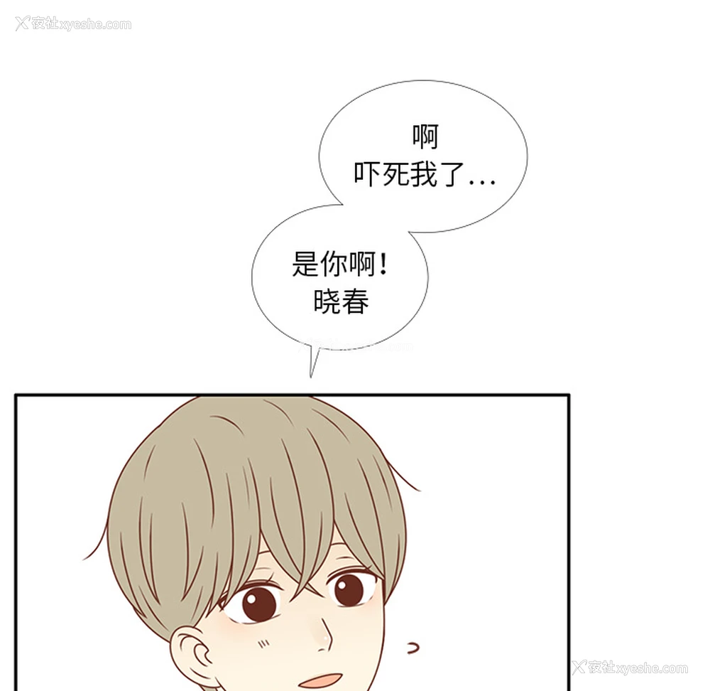 26P - 各自的春天