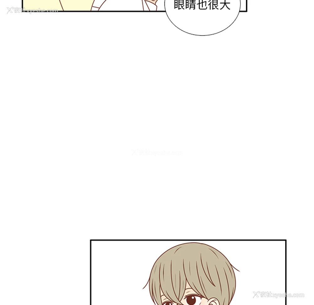 37P - 各自的春天