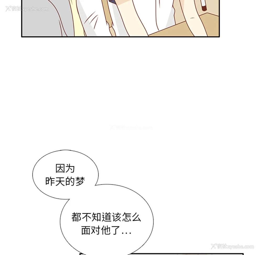 36P - 各自的春天