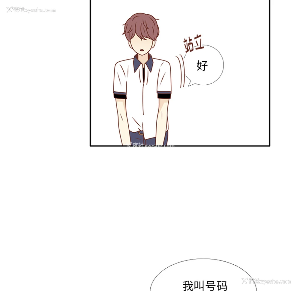 53P - 各自的春天