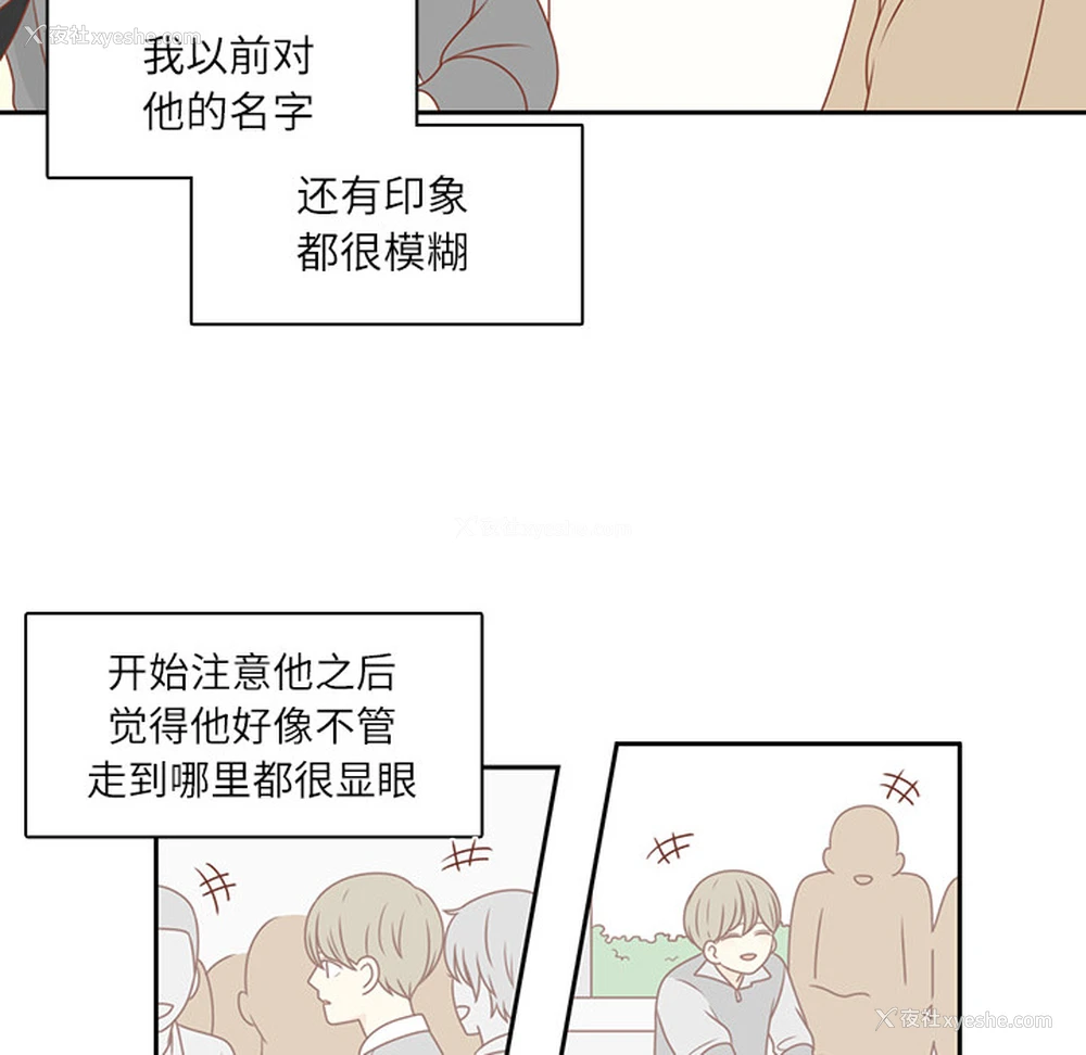 33P - 各自的春天