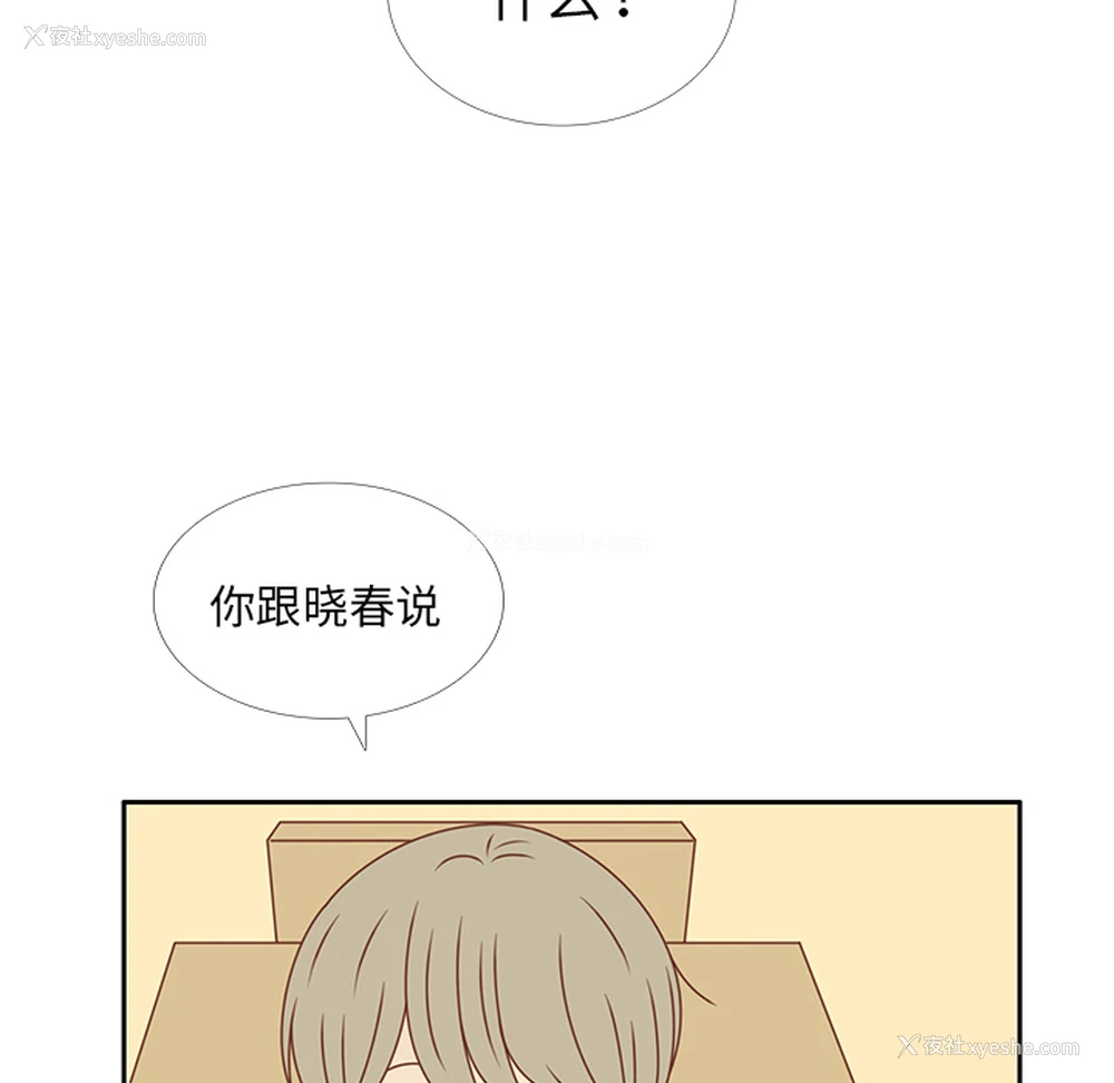 51P - 各自的春天