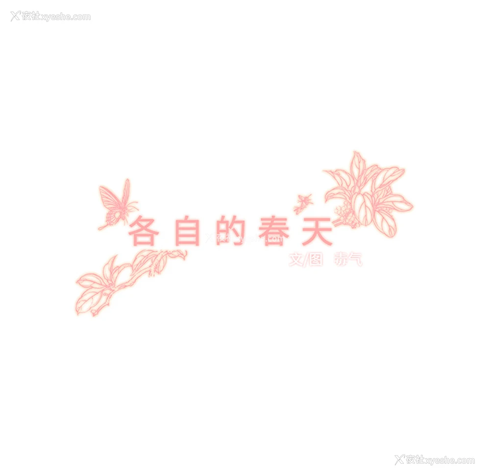 20P - 各自的春天