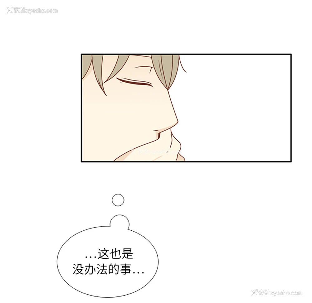 52P - 各自的春天