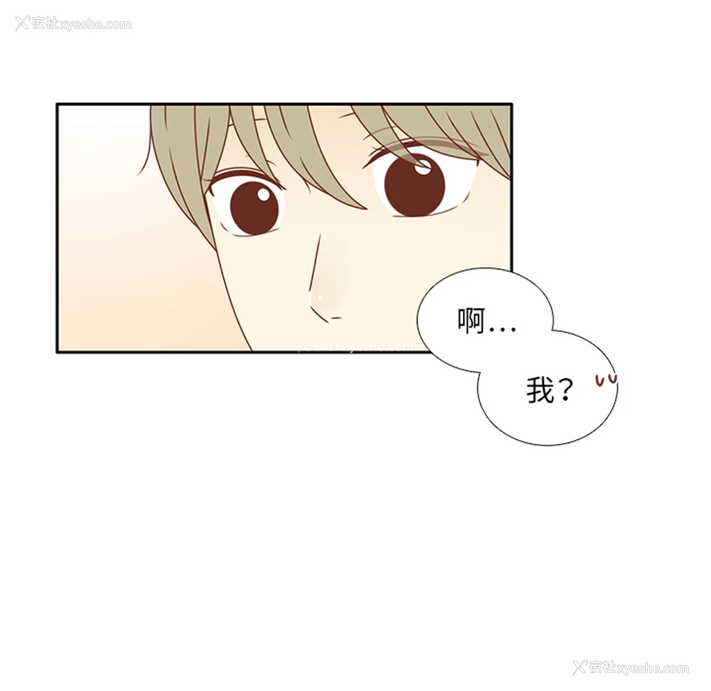 28P - 各自的春天