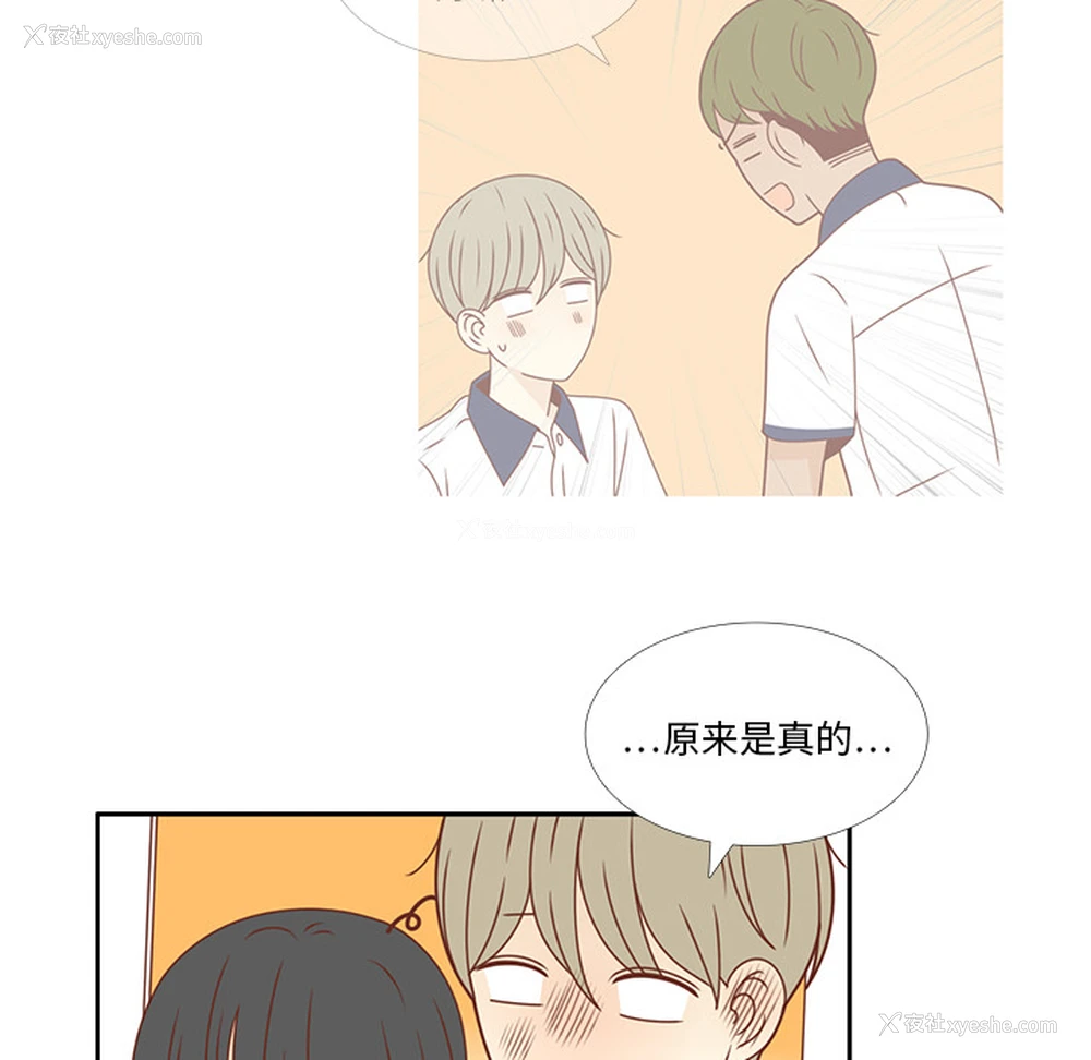 33P - 各自的春天
