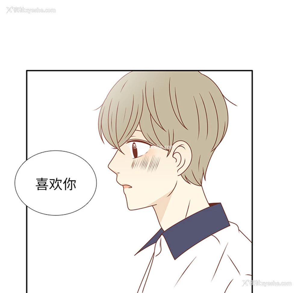 33P - 各自的春天