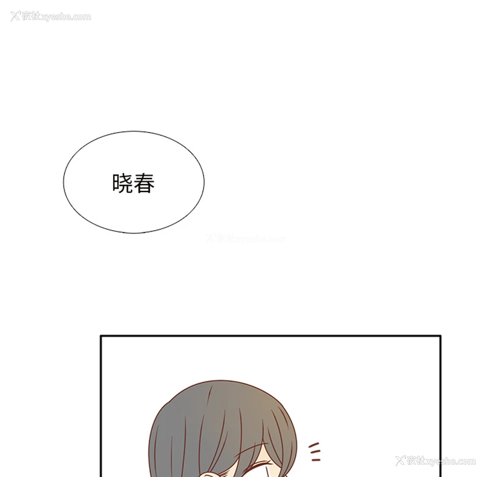 43P - 各自的春天