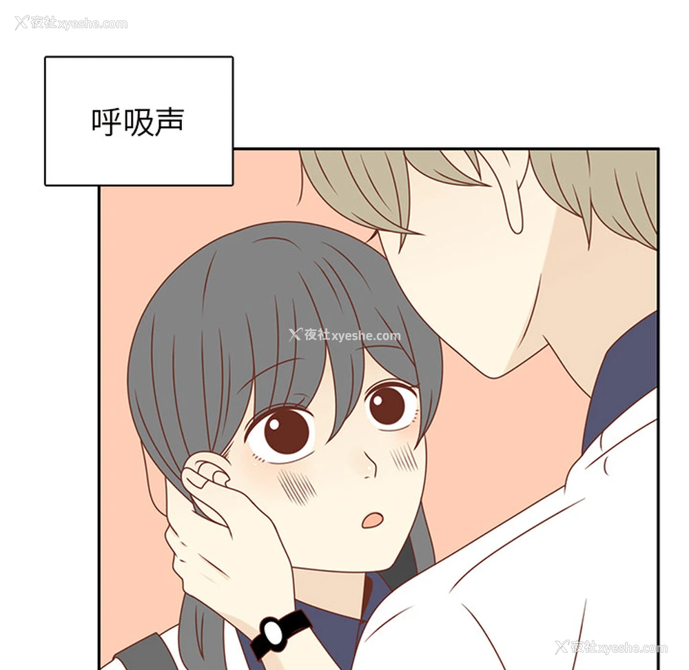 48P - 各自的春天