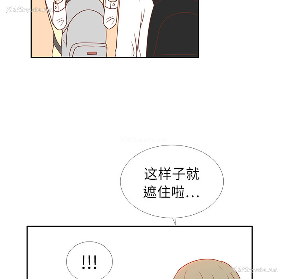 15P - 各自的春天