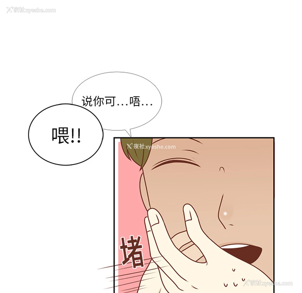 12P - 各自的春天